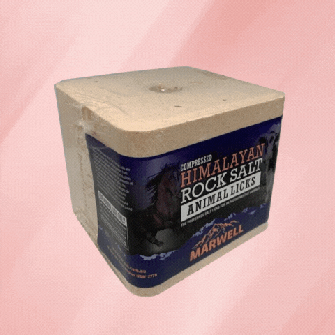 Animal Lick Salt Blocks